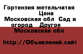 Гортензия метельчатая “Magic Fire“ › Цена ­ 700 - Московская обл. Сад и огород » Другое   . Московская обл.